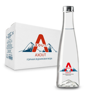 Вода питьевая Axout / Аксаут негазированная, стекло 0.33 литра