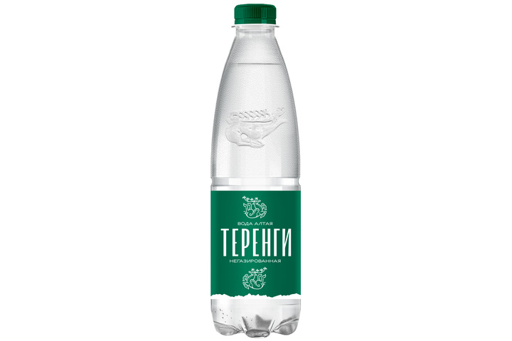 Питьевая вода Теренги, негазированная ПЭТ 0.5 литра