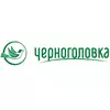 Черноголовка