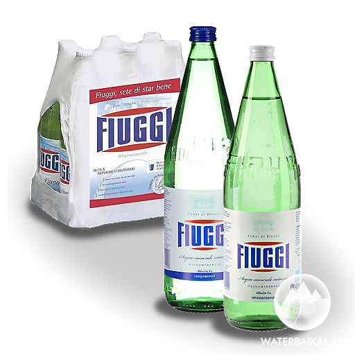 Fiuggi - купить и заказать с доставкой
