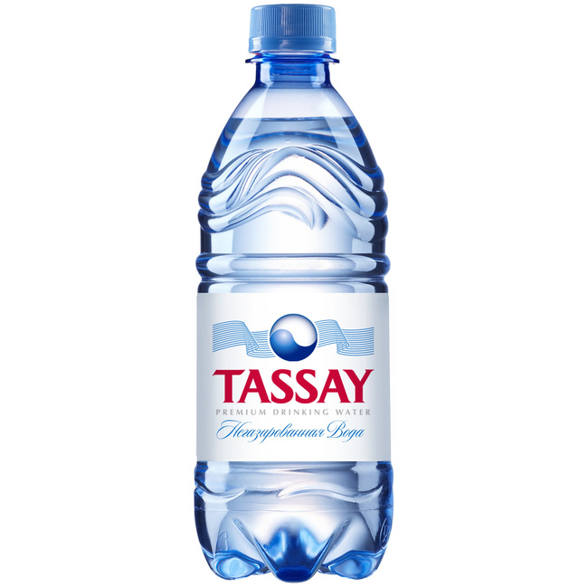 Природная питьевая вода Tassay негазированная, ПЭТ 0.25 литра