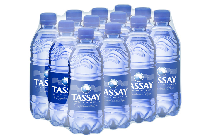 Природная минеральная вода TASSAY газированная, ПЭТ 0.5 литра